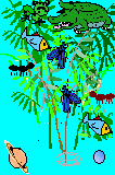 Evolution timeline