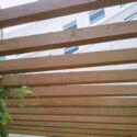 Trellis Roof