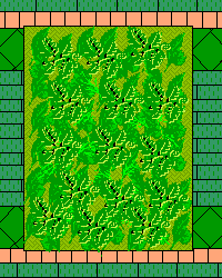 Lobby Carpet and Stones